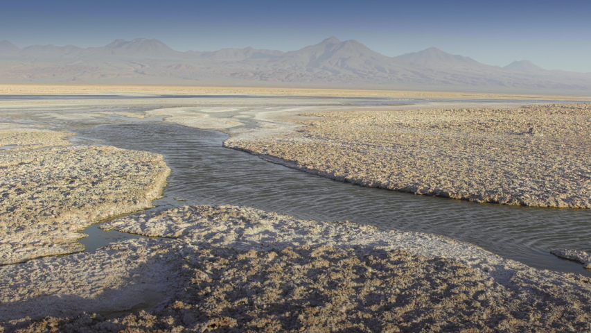Chaxa Lagoon & Flamingos. an Pedro de Atacama, Antofagasta - Chile. Desert. Andes Range.