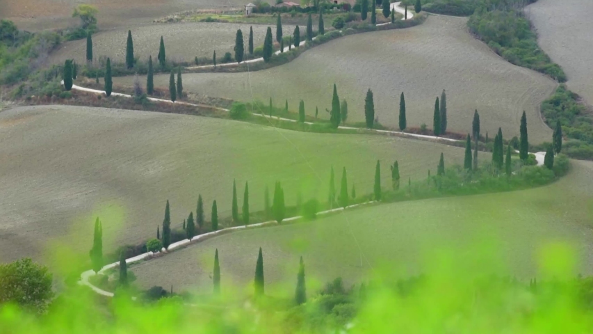 Amazing curvy road with trees between fields 