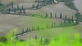 Amazing curvy road with trees between fields  - Powered by Shutterstock - Get 15% off with code: PIKWIZARD15