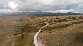 Drone: Cows Folck in wild Field near Livno Town, Bosnia and Herzegovina - October 2019 