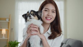 Asian woman and little dog greeting and talking with boyfriend or friend via video call on laptop computer. Using video conference for videocall at home.Self isolation and social distant concept