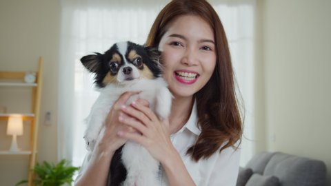 Asian woman and little dog greeting and talking with boyfriend or friend via video call on laptop computer. Using video conference for videocall at home.Self isolation and social distant concept