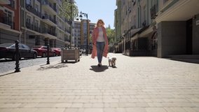 Elegant blonde woman in a pink protective mask and trench coat is walking with a white Bichon Frise dog on a leash on a sunny city street during COVID-19 quarantine. Video recording.