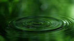 fresh green leaves with water drops over the water , relaxation with water ripple drops concept , filmed on cinema slow motion camera at 1000 fps - Powered by Shutterstock - Get 15% off with code: PIKWIZARD15