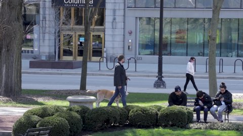 Chicago,IL/USA-April 18th 2020: People are enjoying walks in the parks of downtown Chicago wearing masks and gloves despite the fears of Covid-19 corona virus. the city is shutdown due to quarantine