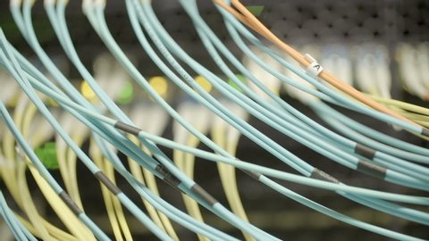 Close-up panning shot of blue and yellow network cables in server room - Silicon Valley, California