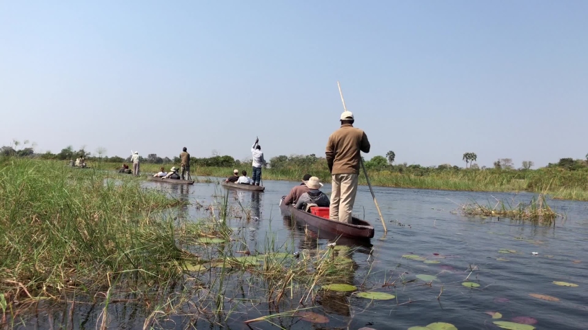Tourist in Mokoro boats on water in the Okavango Delta in Botswana Royalty-Free Stock Footage #1051304857