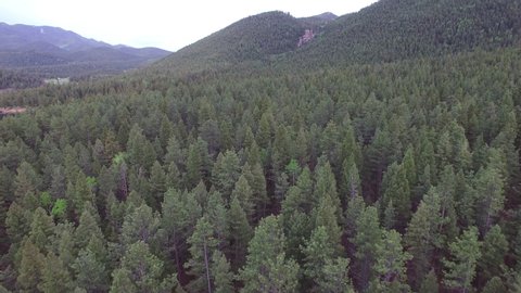 Aerial view of green trees in forest against mountains, drone moving forward over idyllic woodland - Lake Wellington, Colorado