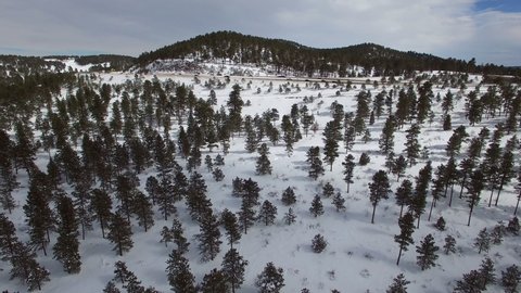 Aerial view of vehicles on highway amidst evergreen trees with snow, cars on road over landscape during winter against sky - Genesee, Colorado