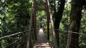 Young woman walking on suspension bridge hiking in tropical rainforest in Costa Rica enjoying nature and national park. Solo travel adventure 
