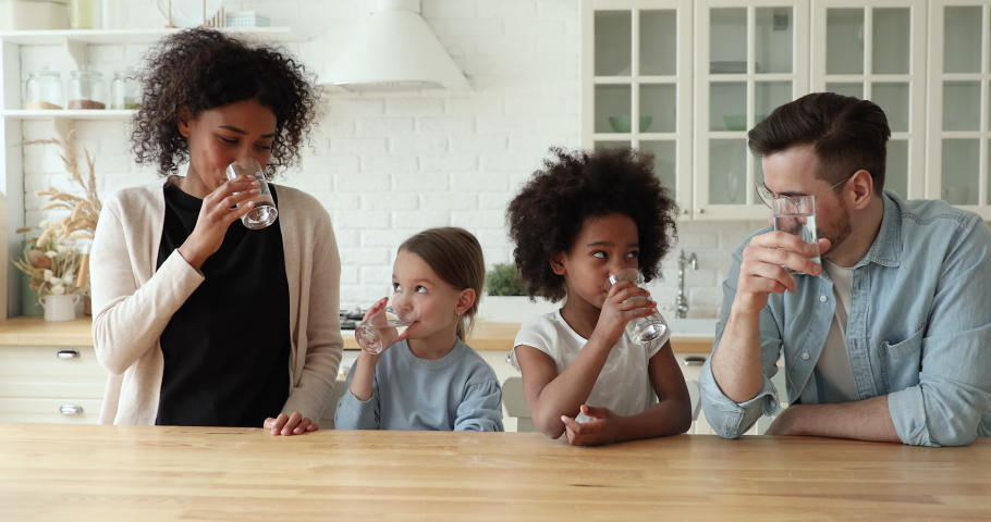 Happy healthy mixed race family young interracial parents and kids daughters drinking clean fresh pure mineral water showing thumbs up recommend good quality looking at camera in kitchen. Portrait. Royalty-Free Stock Footage #1051329988