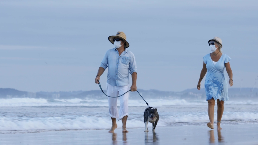 a couple with medical masks playing and splashing eachother while walking an english blue staffy dog, seaside on a beautiful beach. walking dog concept or coronavirus having fun wearing medical masks Royalty-Free Stock Footage #1051330789