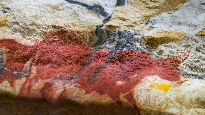 Rock art in the Lascaux Cave at the International Center for Parietal Art. Lascaux IV at Montignac in the Vézère Valley of the Dordogne. Perigord Noir, Nouvelle Aquitaine, France, Europe. UNESCO World Royalty-Free Stock Footage #1051340149