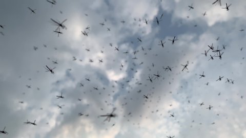 Mosquitos flying swarm in the sky with clouds background UK 4K