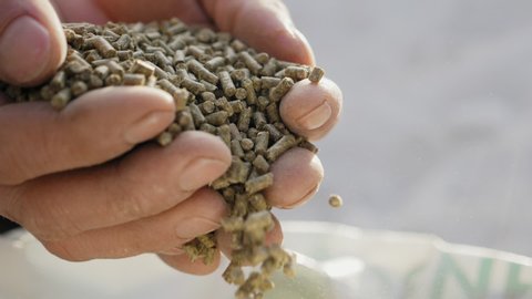 Closeup of granulated feed in the hands of a farmer falling to the bag in slow-motion