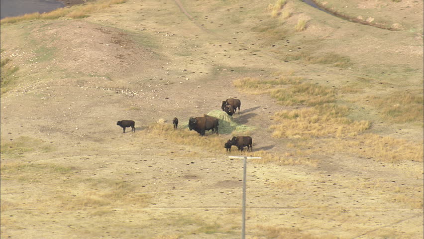 AERIAL United States-Buffalo In Bear State Park 2012