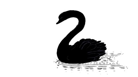 Black swan. Economy symbol of unpredictable event. Something rare. Cartoon animation of a question mark transforming into a rare bird. Usefor for business explaining materials.