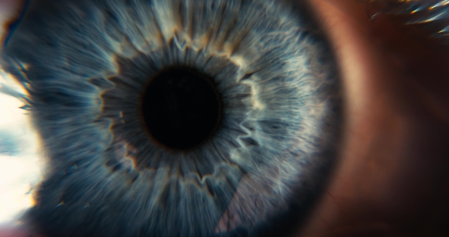  Female Blue Eye. Eyeball Iris Retina Pupil Cornea. Extreme Close-up Macro shot. Blink Open Closed | Shutterstock HD Video #1051432816