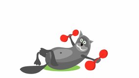 graphic animation cat is exercising with red dumbbells on the mat. exercises to maintain fitness