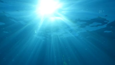 sun ray and sun beam scenery underwater waves on surface of water slow with jellyfish on surface jelly fish ocean scenery blue water backgrounds