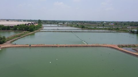 High angle view of a shrimp farm in a rural area