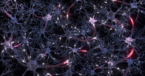 Neuron network. Synapses animation. Neurons inside the human brain. Neurotransmitters, Neural impulse. Neurons in the head. Journey through a neuron cell network inside the brain.