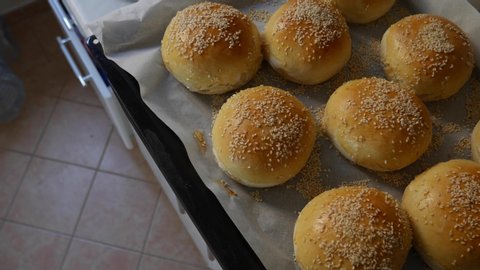Burger rolls are fresh from the oven, still hot, generously sprinkled with sesame seeds. Homemade round-shaped pork buns, spotted to ruddy crust