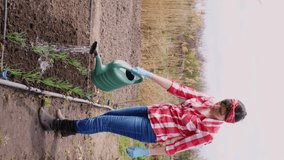 vertical video. female farmer in checkered red shirt watering young green onions, sprouted from soil in vegetable garden from watering can. spring sunny day. Eco farm.