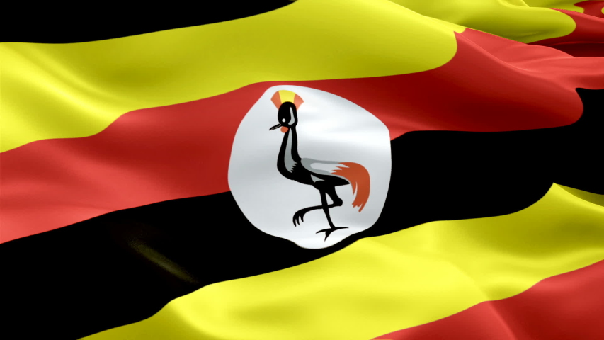 Uganda flag Footage #page 3 | Stock Clips