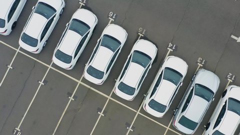 Aerial top down view of the dealership or customs terminal parking lot with a rows of new passenger cars