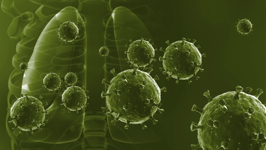 Coronavirus Disease 2019, Outbreak COVID-19 under the Microscope view and lungs while breathing. 3D Render, Green Color Set4 | Shutterstock HD Video #1051529155