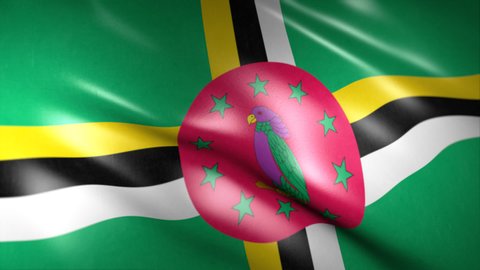 National Flag of Dominica waving flag. Flag Closeup 1080p Full HD 1920X1080 footage.Other HD flags available