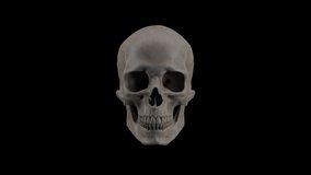 3D Skull Rotation with dark black background