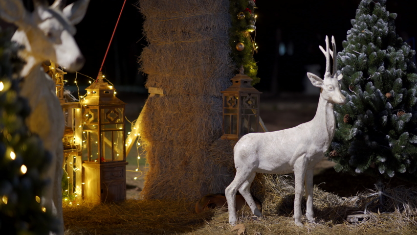 Lights And Christmas Decorations With Animals And Tree Lights Image 