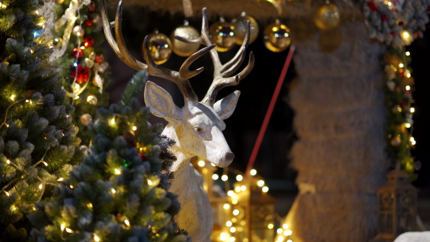 Lights and Christmas Decorations with animals and tree lights image ...