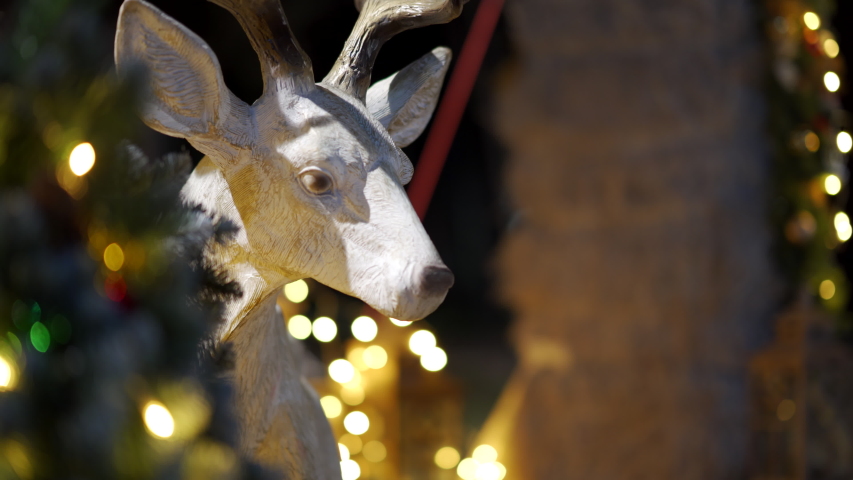 Lights And Christmas Decorations With Animals And Tree Lights Image 