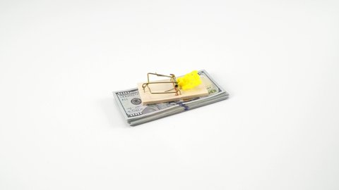 American dollars in a mousetrap. Money is like bait. Deception, fraud, bad loan and easy money concept. White studio background, blank mockup, place for text. Money is like bait.