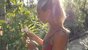 Blond hair young woman touching and smelling tropical flowers in exotic garden at sunset. Nature garden untouched concept. Girl enjoying aroma of plants and flowers 4K video