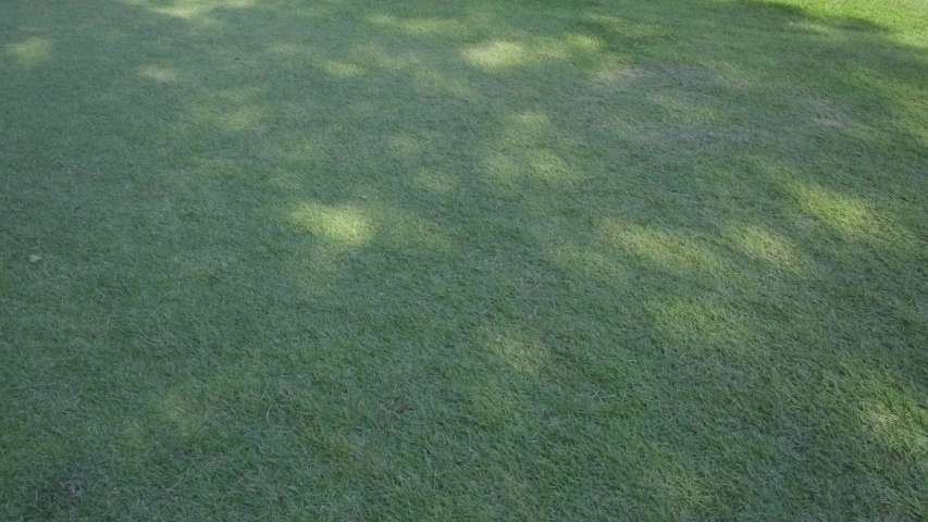 Camera tilt up from ground to reveal corner view of empty courtyard of the length Confucian Jongmyo Shrine in Seoul, South Korea