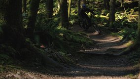 Man Riding Mountain Bike on Colorful Green Forest Singletrack Trail - Powered by Shutterstock - Get 15% off with code: PIKWIZARD15