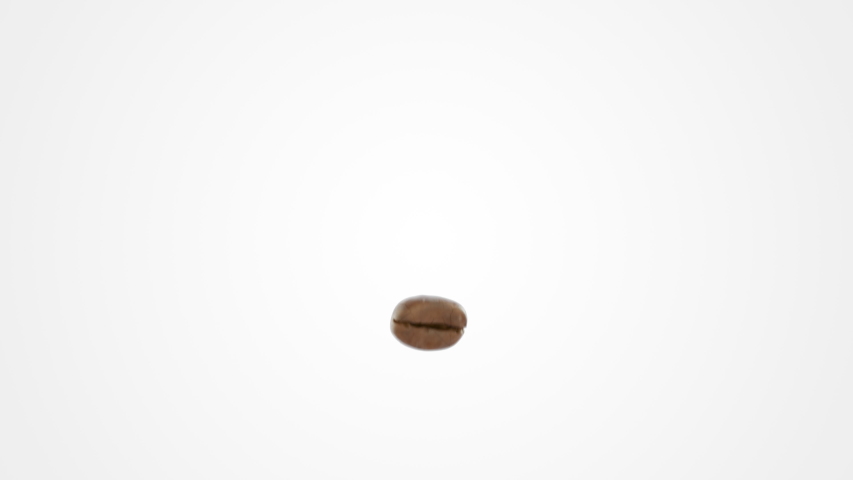 Shutterstock Video