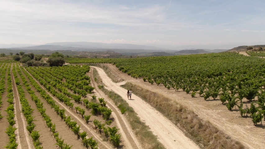 La Rioja Wine Region Spain. 4k DRONE aerial view. Vineyards growing grapes for red wine. Green rolling hills. Dramatic landscape. Viticulture, scenic, drinking. Couple Walking. Cinematic. Royalty-Free Stock Footage #1051602205