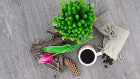 Coffee cup with green plant in pot on wooden table background.