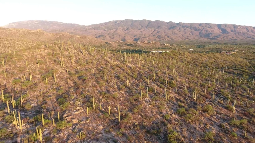 Aerial Footage of Saguaro National Park East Landscape in Tucson Arizona USA