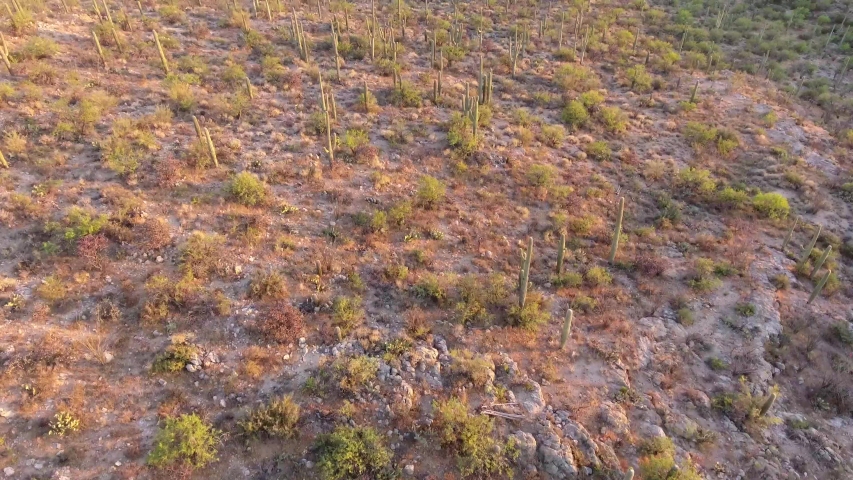 Aerial Footage of Saguaro National Park East Landscape in Tucson Arizona USA
