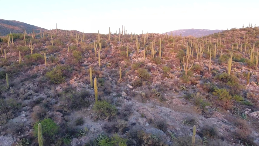 Aerial Footage of Saguaro National Park East Landscape in Tucson Arizona USA