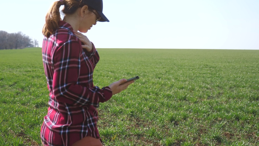 farmer girl red neck with a digital tablet walks on a green field. eco farming agriculture concept. woman worker studies winter green wheat lifestyle crops works in the field