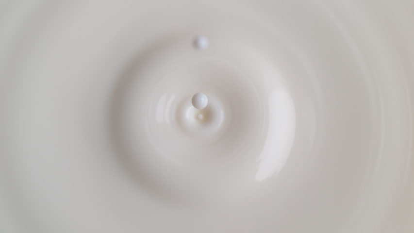 Milk Drop Dripping onto the White Liquid Surface Making Crown and Circular Ripples