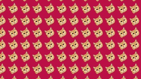 4K background pattern animated  cat head
