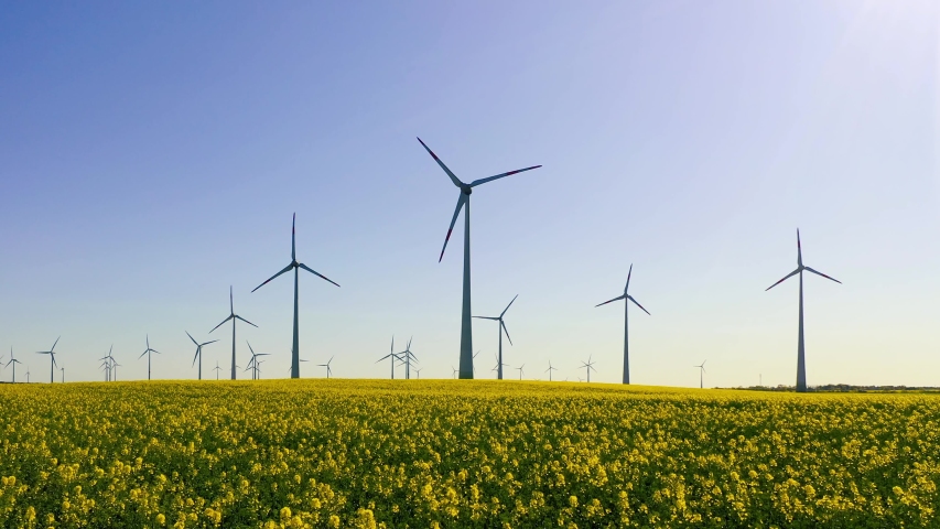 Wind turbines in the middle of rapeseed field in bloom generating renewable electric energy, protect the environment. | Shutterstock HD Video #1051692661